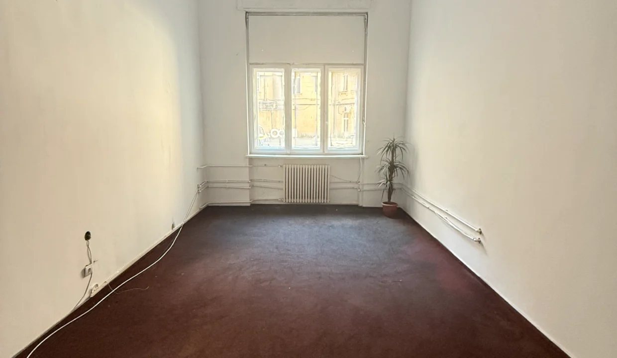 commercial-space-walter-maracineanu1