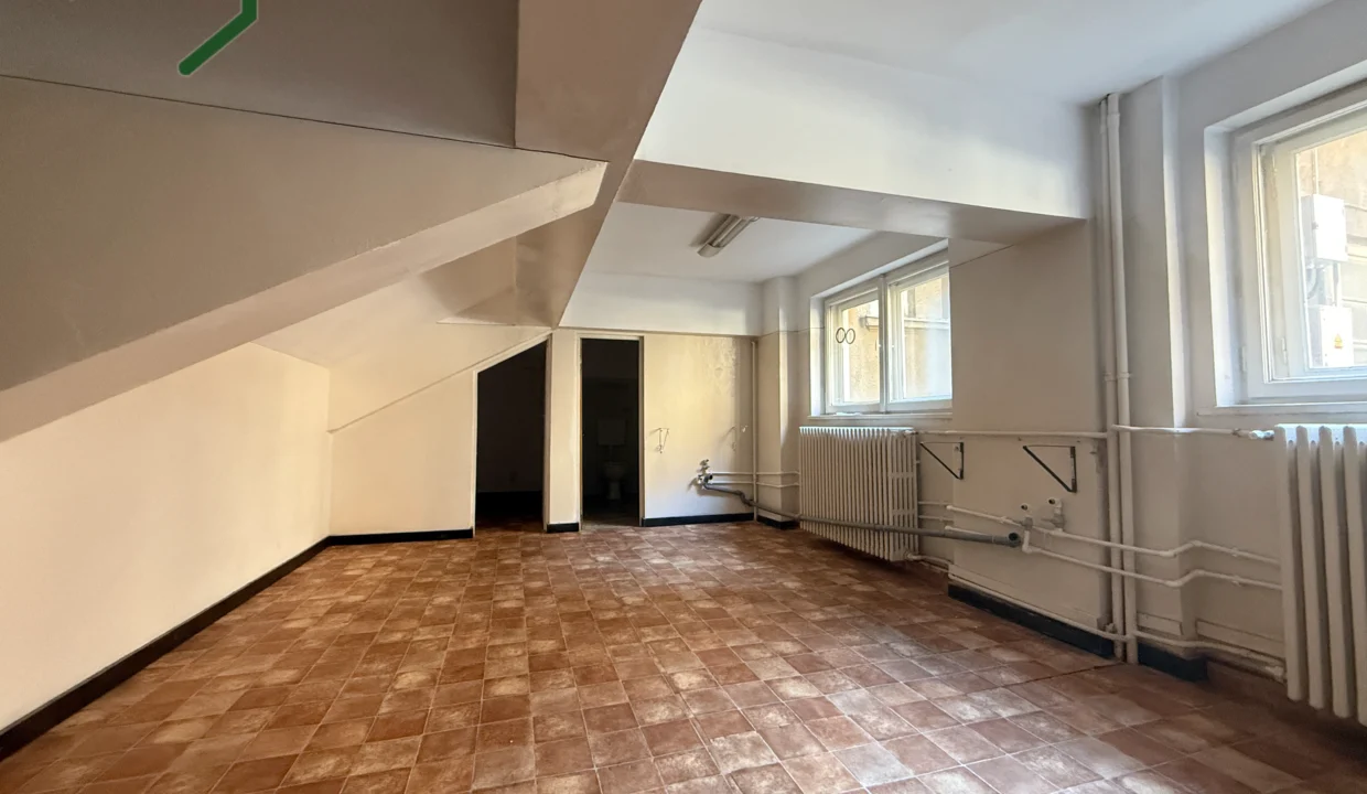 commercial-space-walter-maracineanu3