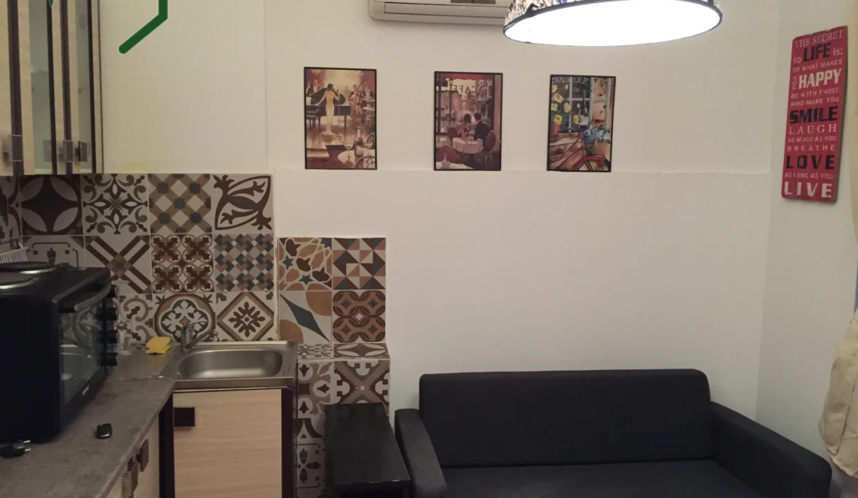 living-room-1-bedroom-apartment-8-ionel-perlea-street-bucharest