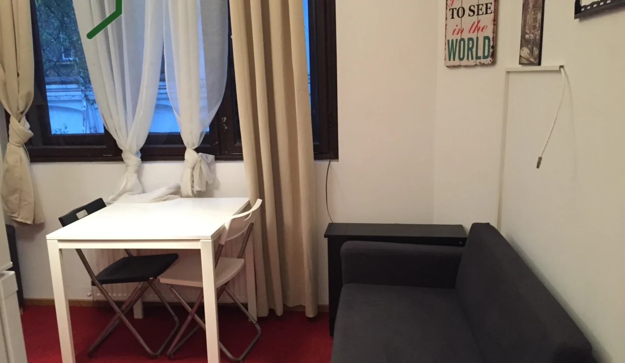 living-room-1-bedroom-apartment-8-ionel-perlea-street-bucharest (2)