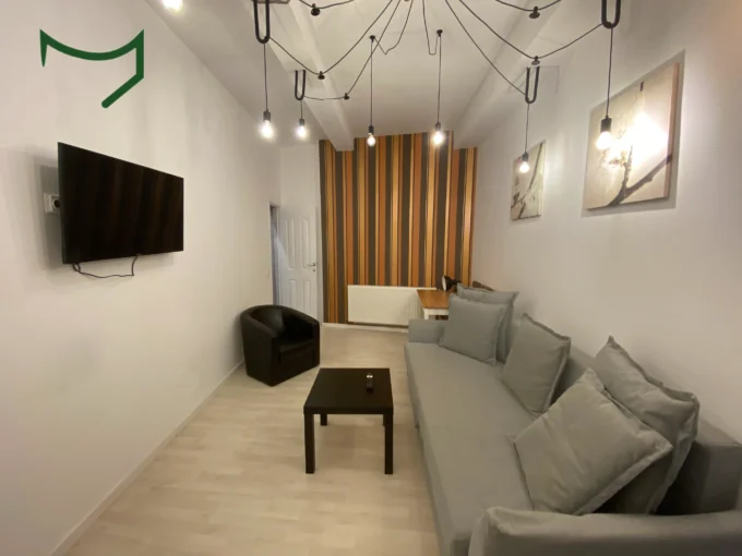 Modern living room in 1 bedroom apartment