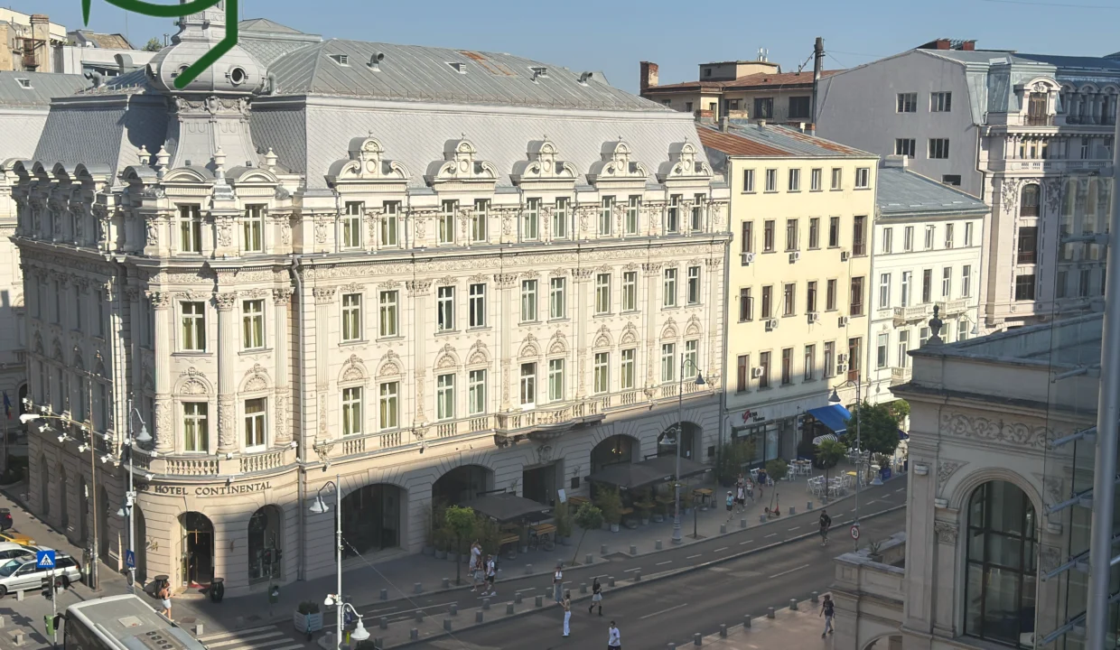 view (2)