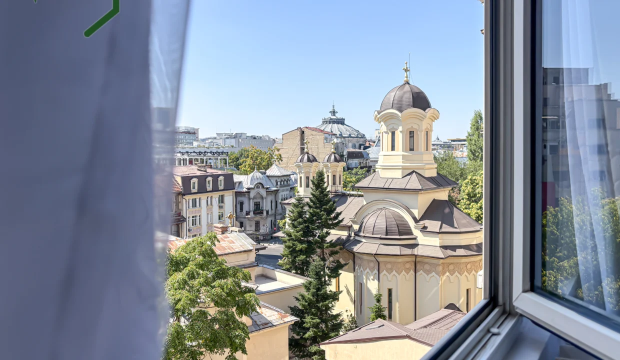 view (2)