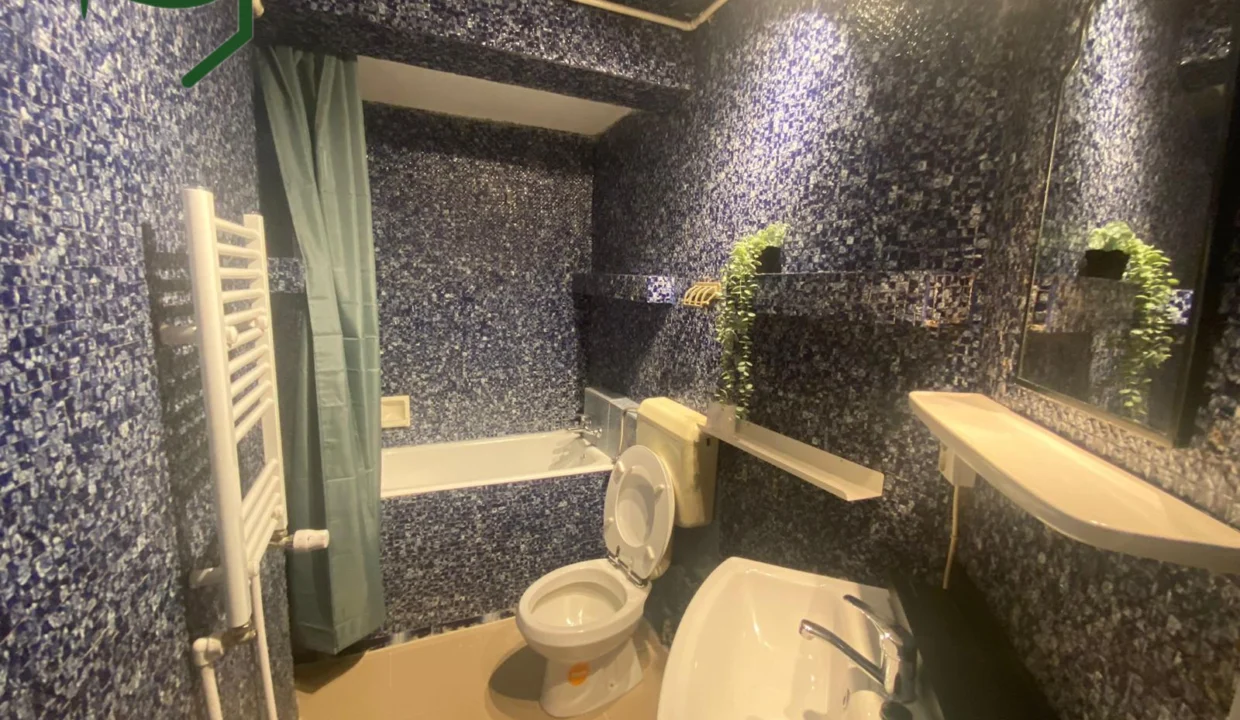 bathroom-1-bedroom-apartment-3-5-vasile-conta-bucharest