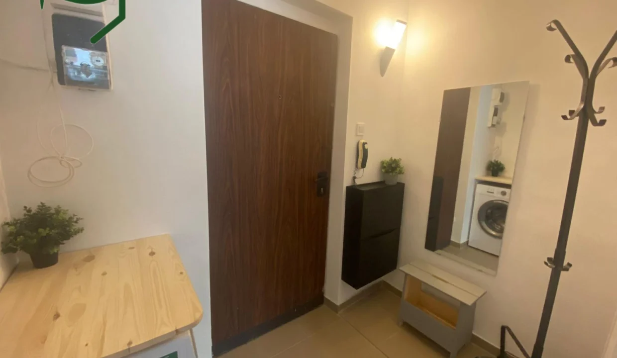 hallway-1-bedroom-apartment-3-5-vasile-conta-bucharest