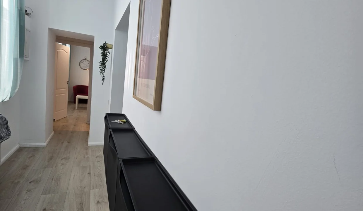 hallway-1-bedroom-apartment-8-ienachita-vacarescu-bucharest