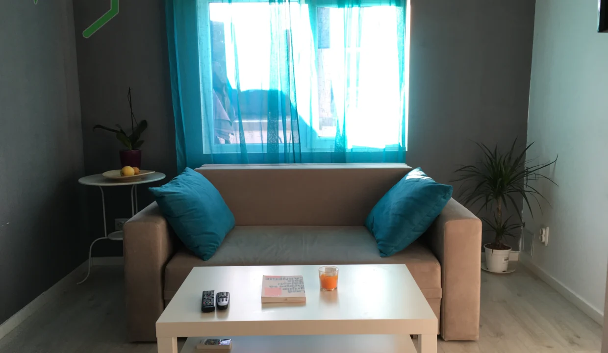 living-room-1-bedroom-apartment-8-constantin-nacu-street-bucharest1