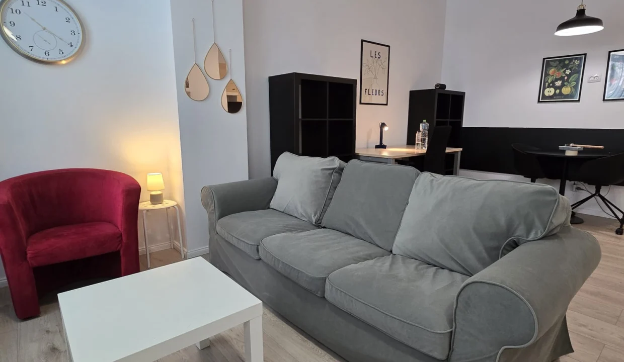 living-room-1-bedroom-apartment-8-ienachita-vacarescu-bucharest